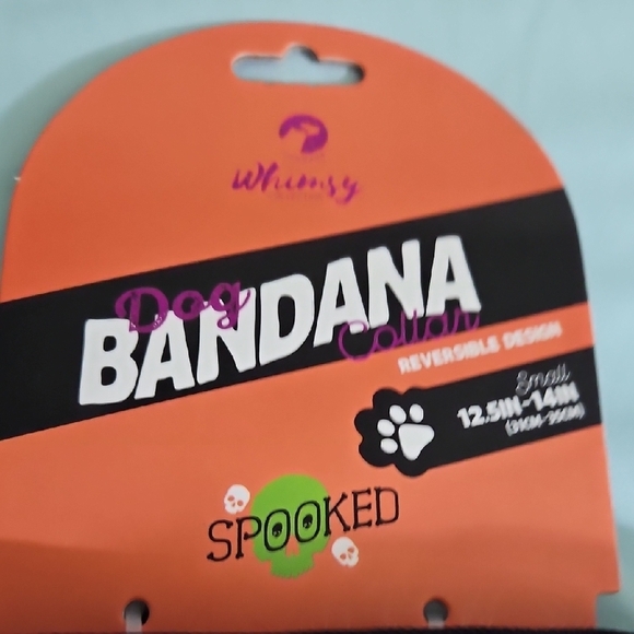 Halloween Pet Tee - Black and Orange - Picture 4 of 5